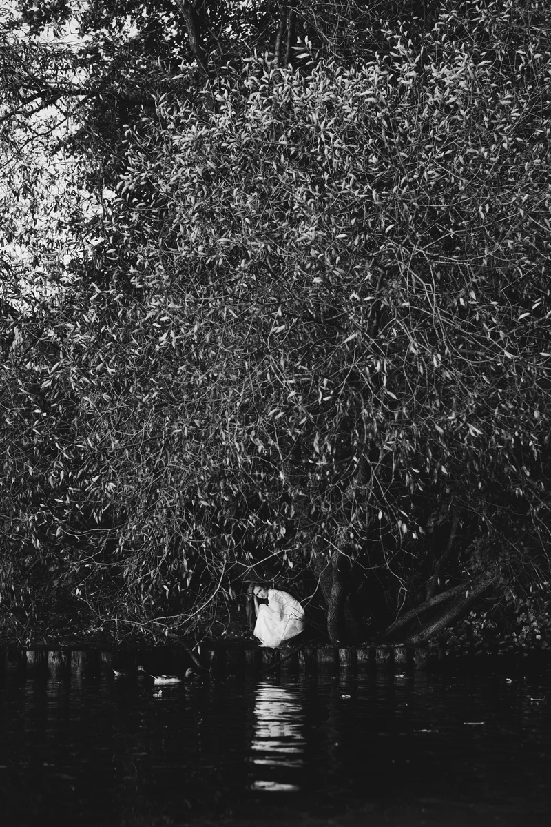 2023 — Water, Tree, Russia, Elegance