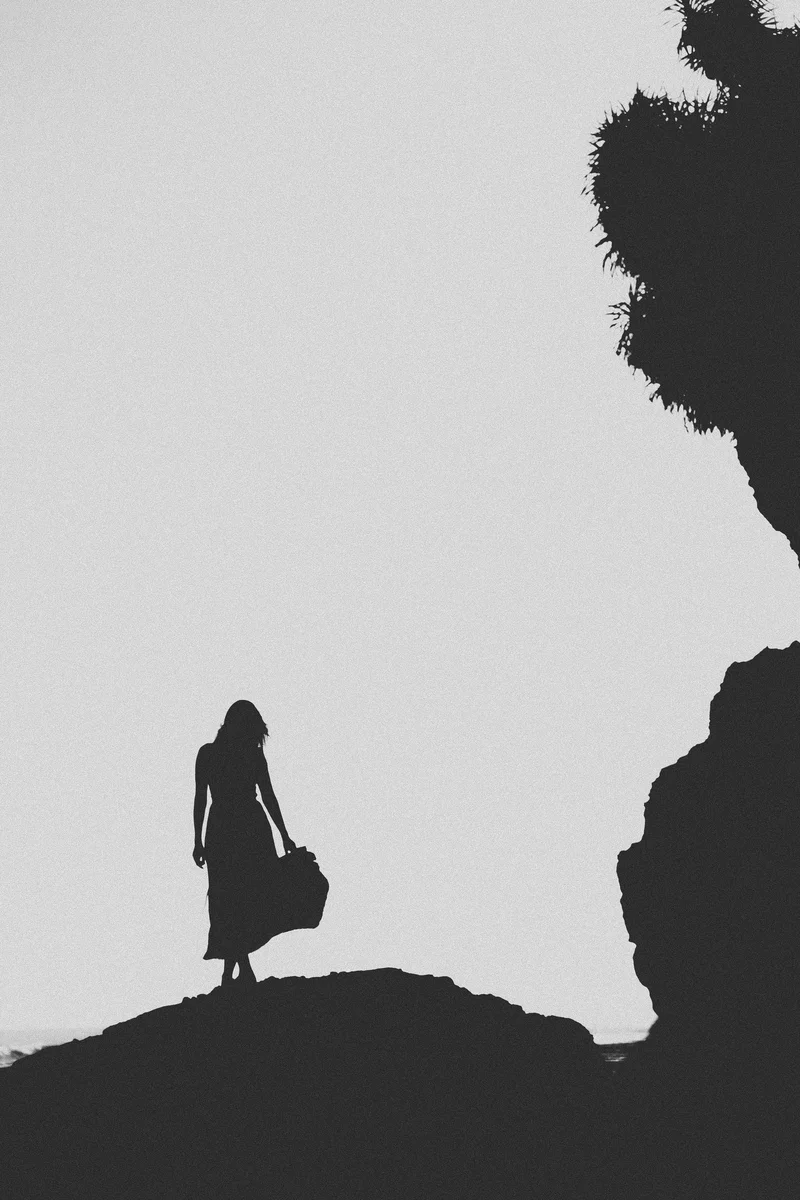 2023 — Silhouette