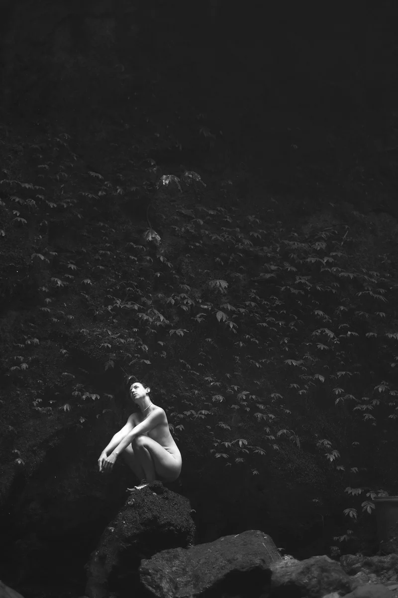 2023 — Forest, Tropics, Elegance, Space, Ambient, Body