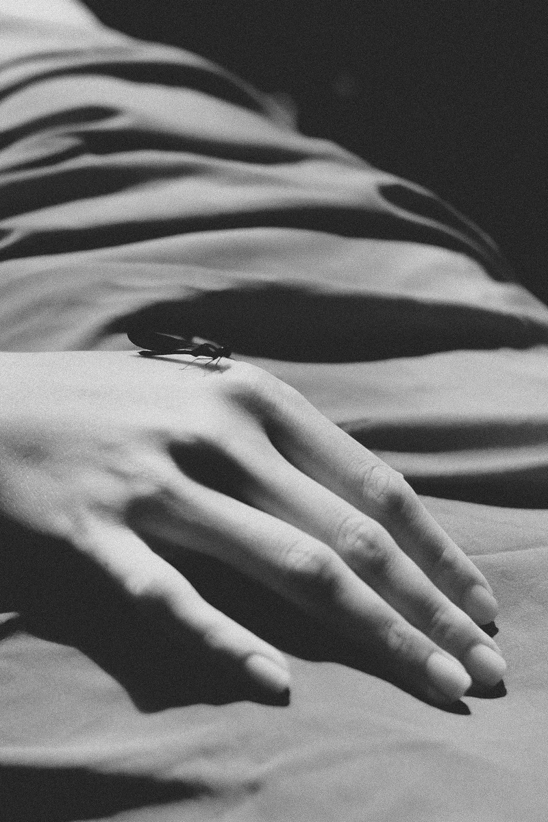 2023 — Animals, Elegance, Body