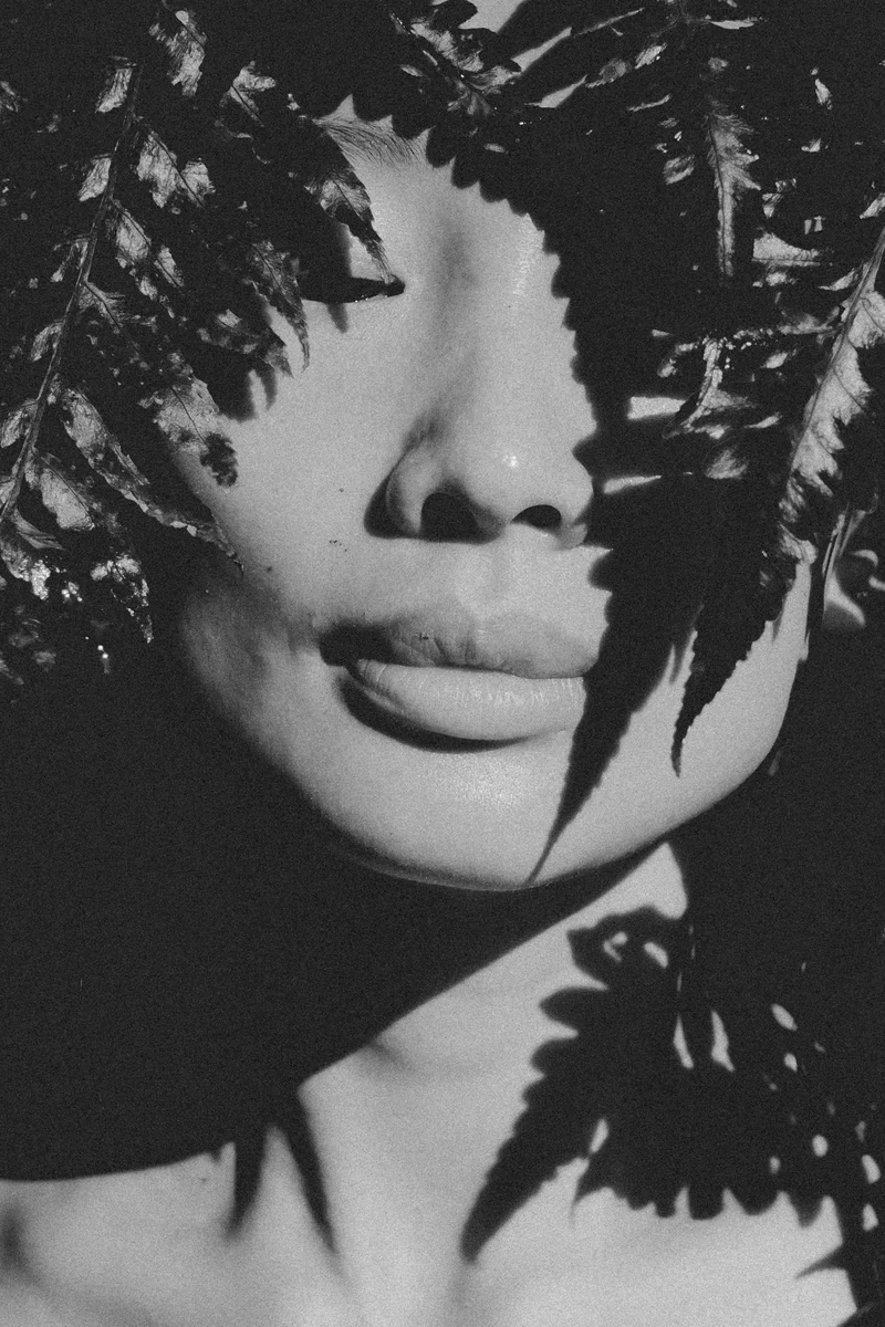 2024 — Portrait, Shadow, Tropics
