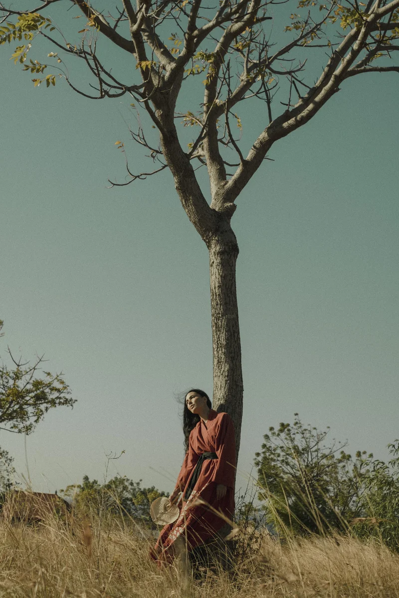 2024 — Field, Tree, Ambient, Stillness, Presence