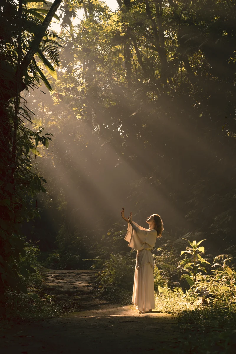 2024 — Forest, Light, Warmth, Tropics