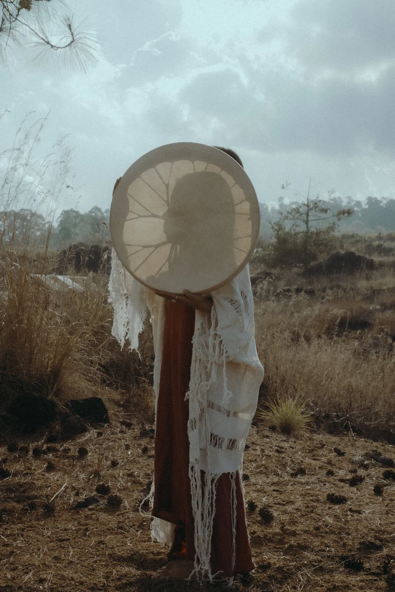 2024 — Field, Shadow, Ambient
