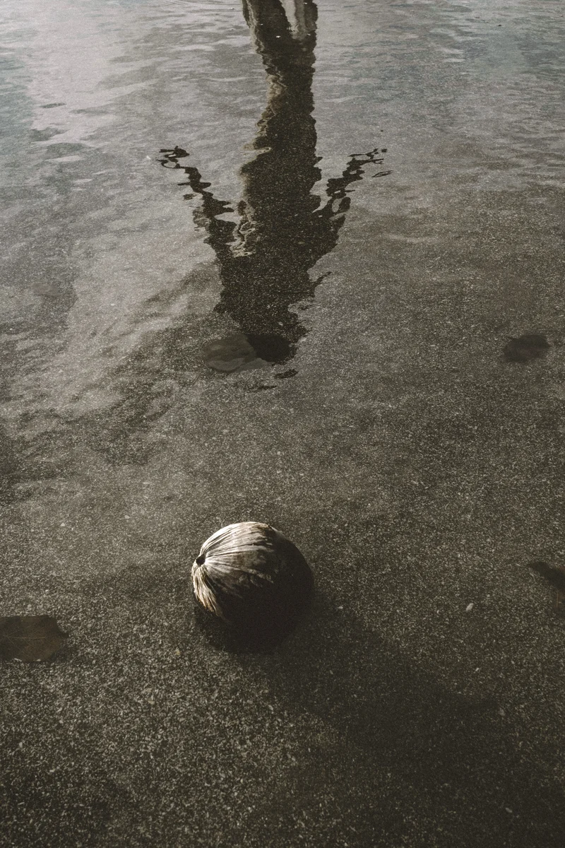 2025 — Water, Silhouette, Reflection, Tropics