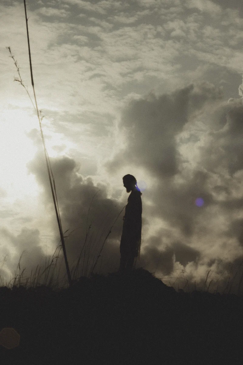 2025 — Field, Silhouette, Sky