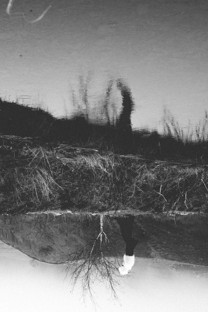 2025 — Shadow, Reflection