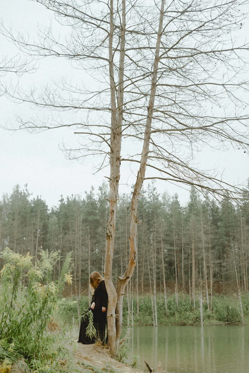 2025 — Water, Silhouette, Tree, Russia, Stillness