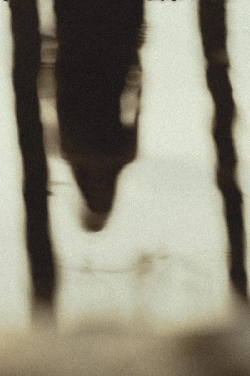 2025 — Water, Silhouette, Reflection, Abstraction