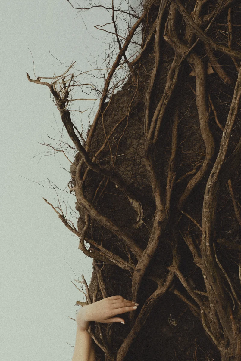 2025 — Tree, Detail