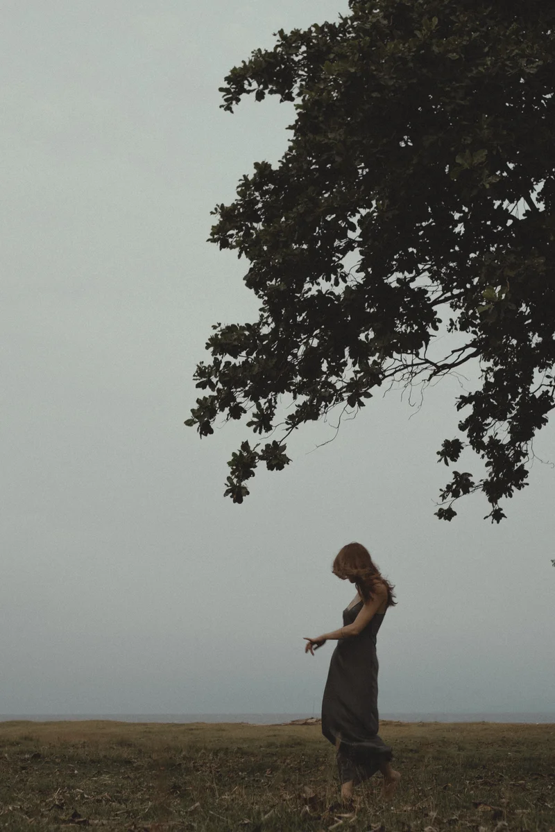 2025 — Silhouette, Tree, Animals, Movement, Elegance, Space, Ambient