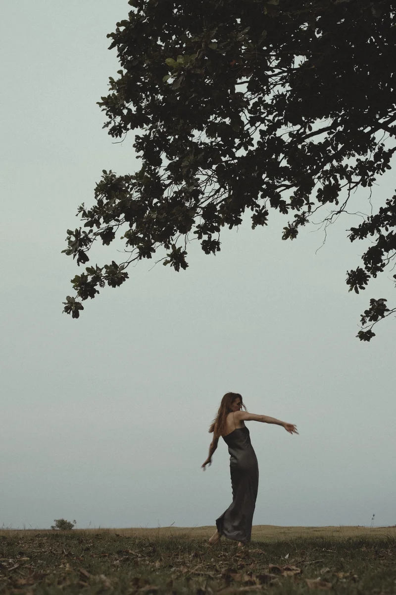 2025 — Silhouette, Tree, Movement