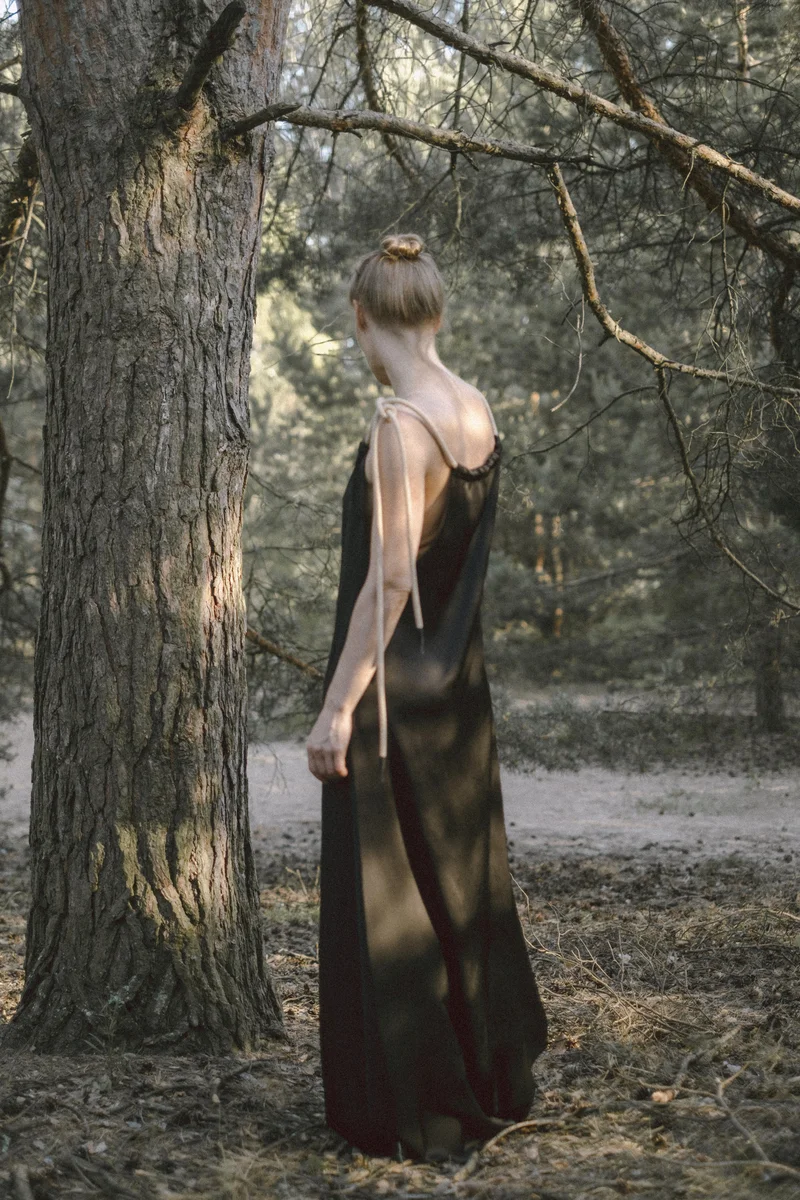 2026 — Tree, Forest, Russia, Elegance, Ambient, Presence