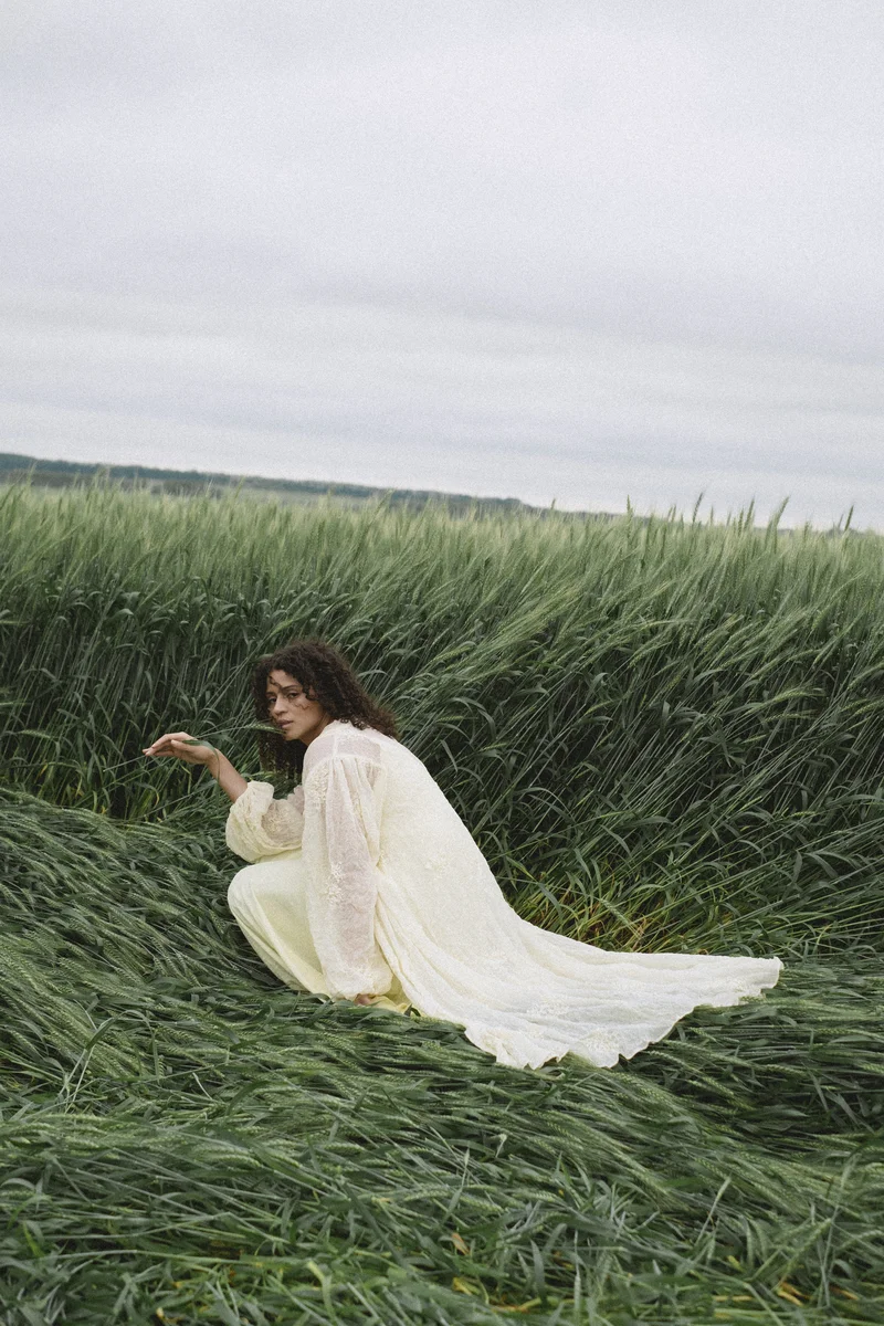 2026 — Wind, Field, Color, Russia, Softness, Gaze, Ambient