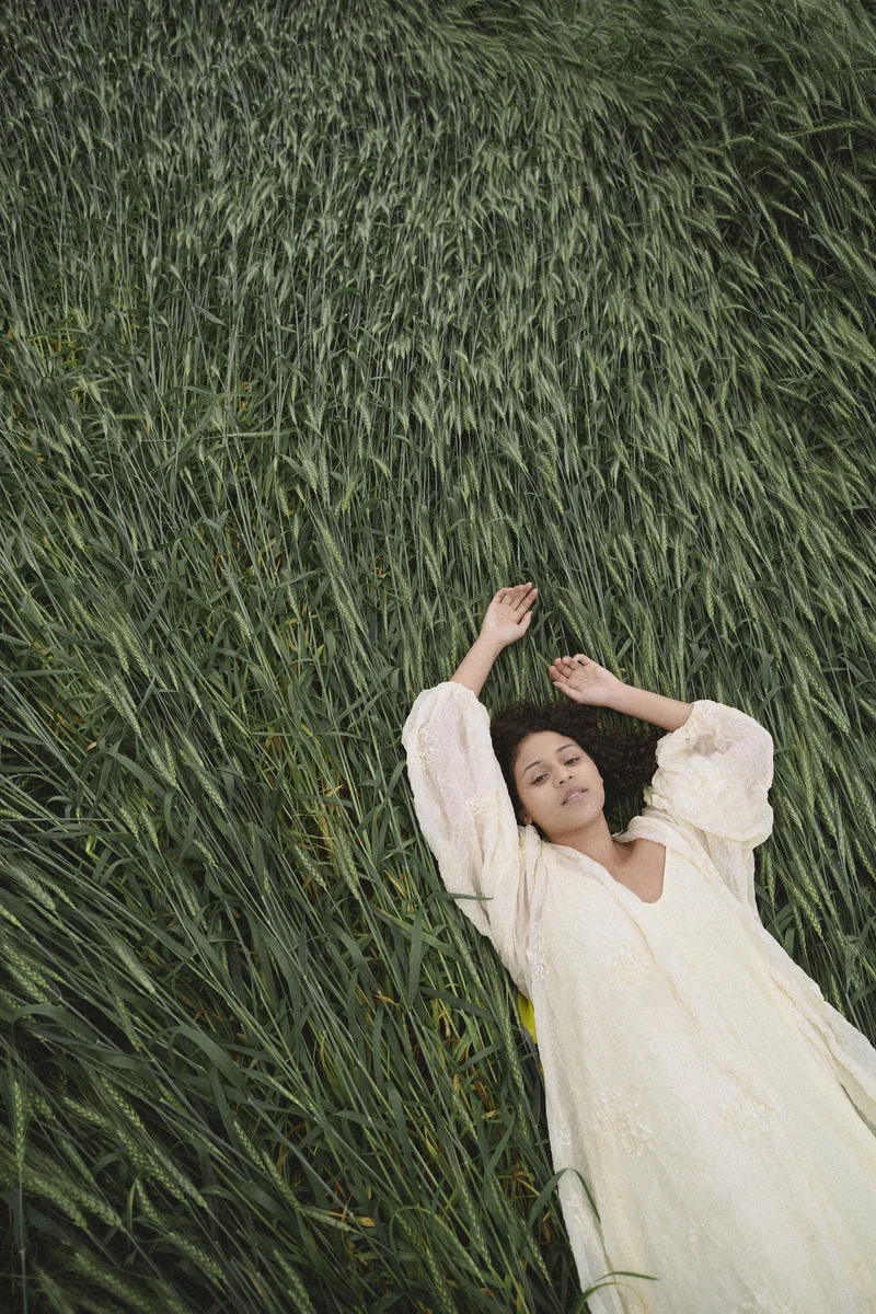 2026 — Field, Softness, Ambient, Stillness, Presence, Minimalism