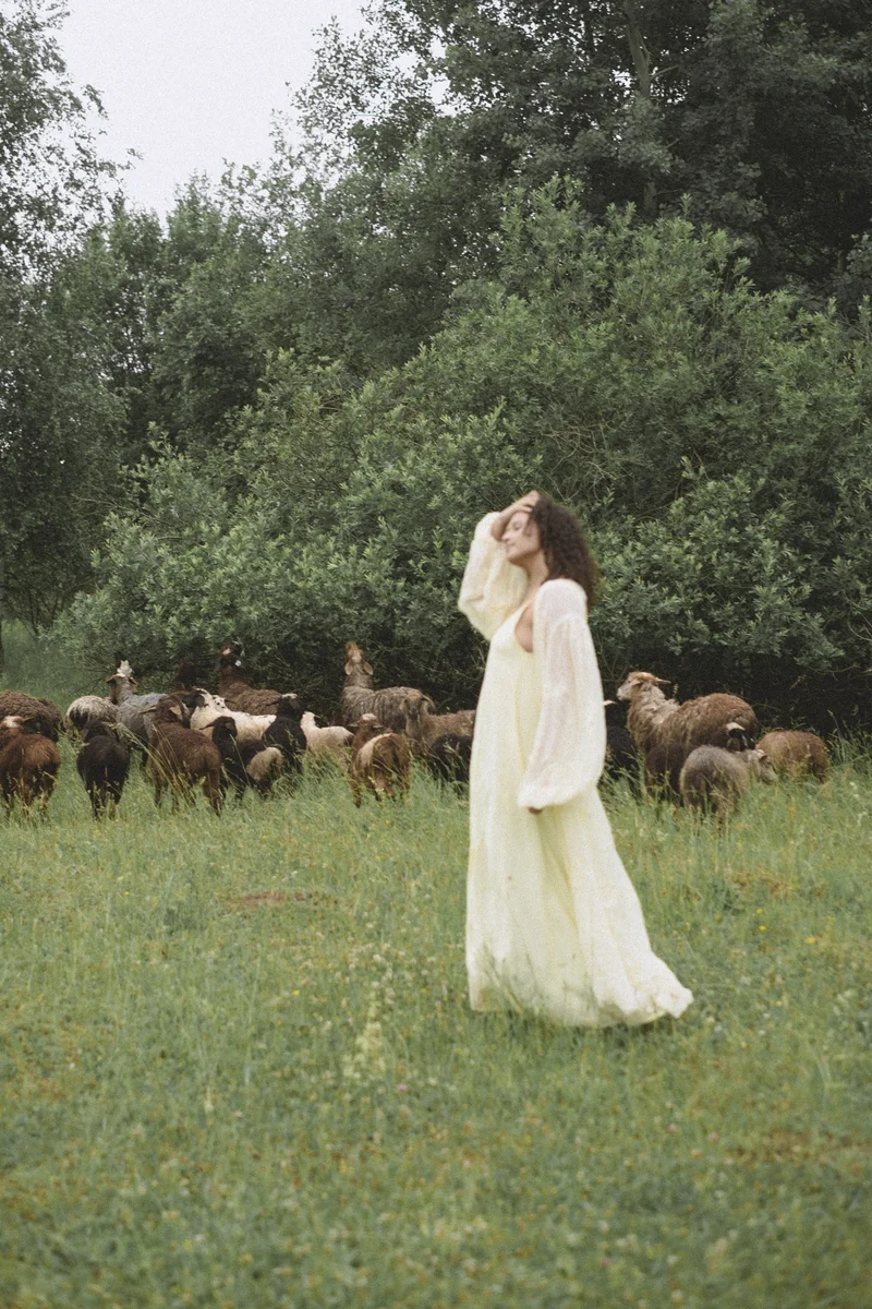 2026 — Field, Animals, Russia, Ambient