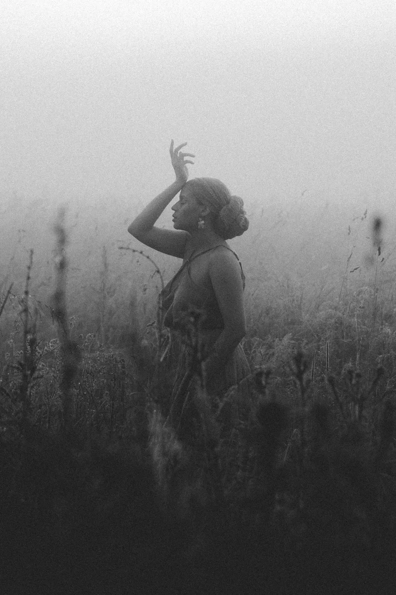 2026 — Field, Silhouette