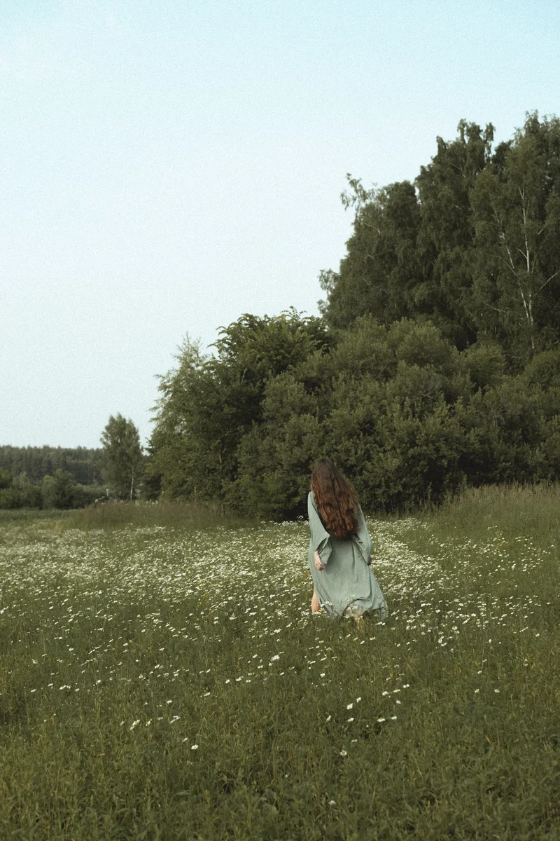 2026 — Field, Russia, Ambient