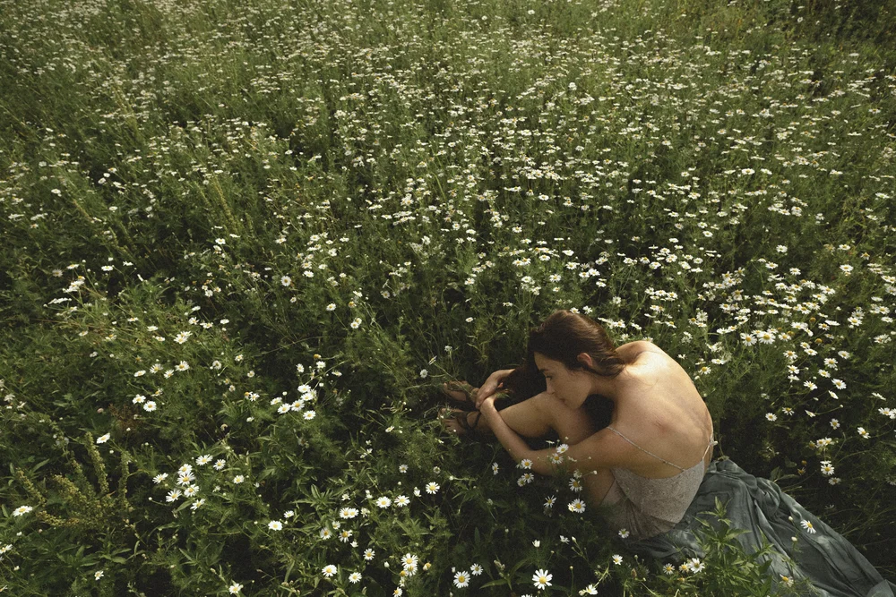 2026 — Field, Russia, Softness, Ambient, Stillness, Presence