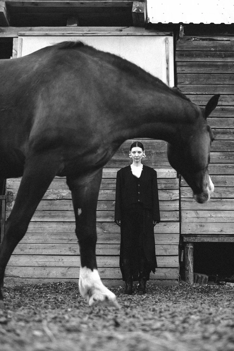 2026 — Animals, Strength, Gaze
