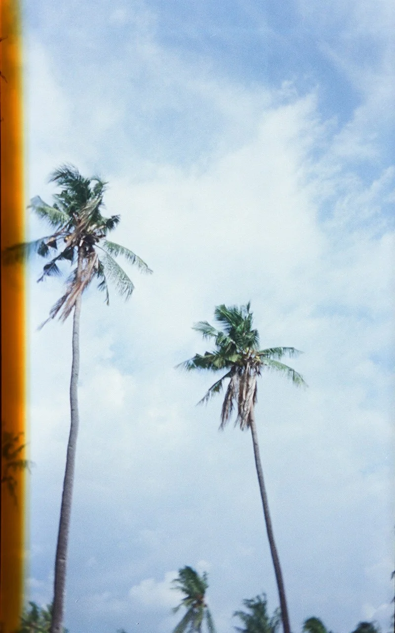 Memory From Paradise