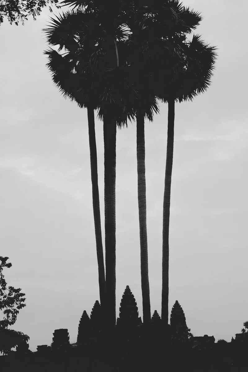 People of Cambodia — street photography of Siem Reap, Bon Om Touk and daily life