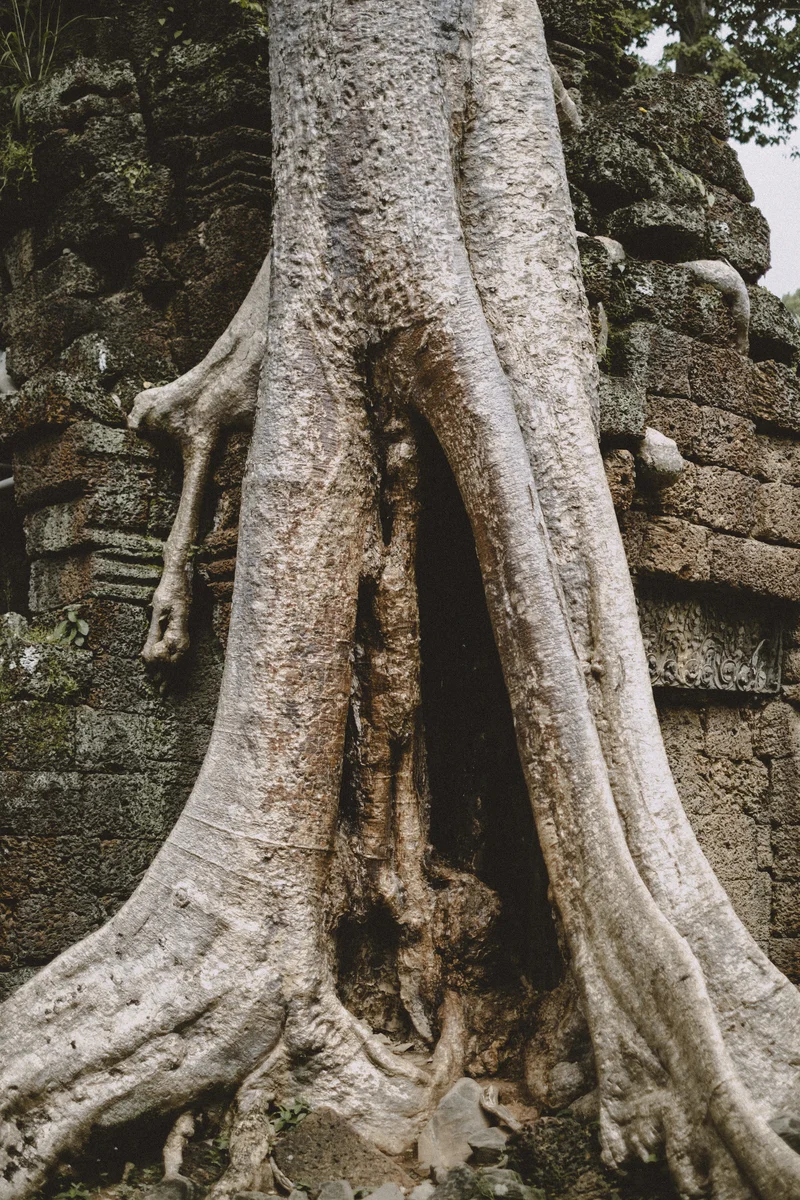 Angkor Wat grounds — towers, galleries, tourist crowds, hidden corners