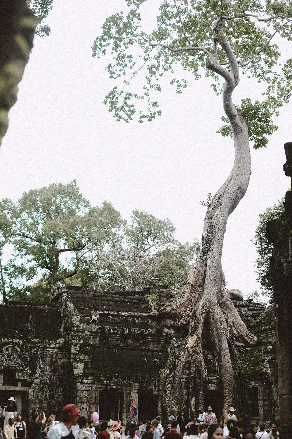 Angkor Wat grounds — towers, galleries, tourist crowds, hidden corners