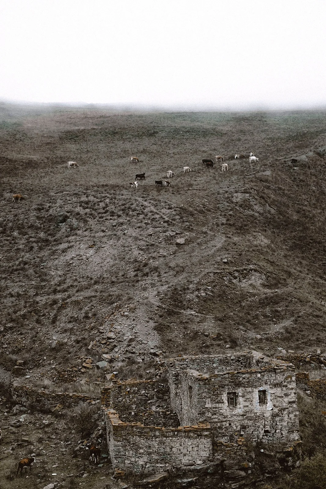 North Ossetia — altitude, silence and the rare strength of space