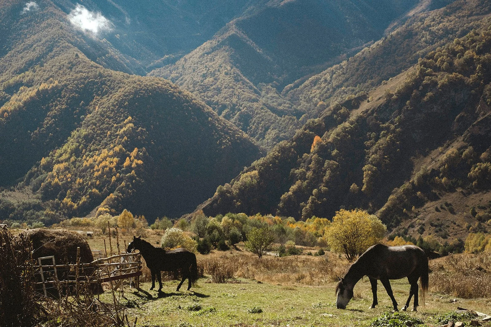 North Ossetia