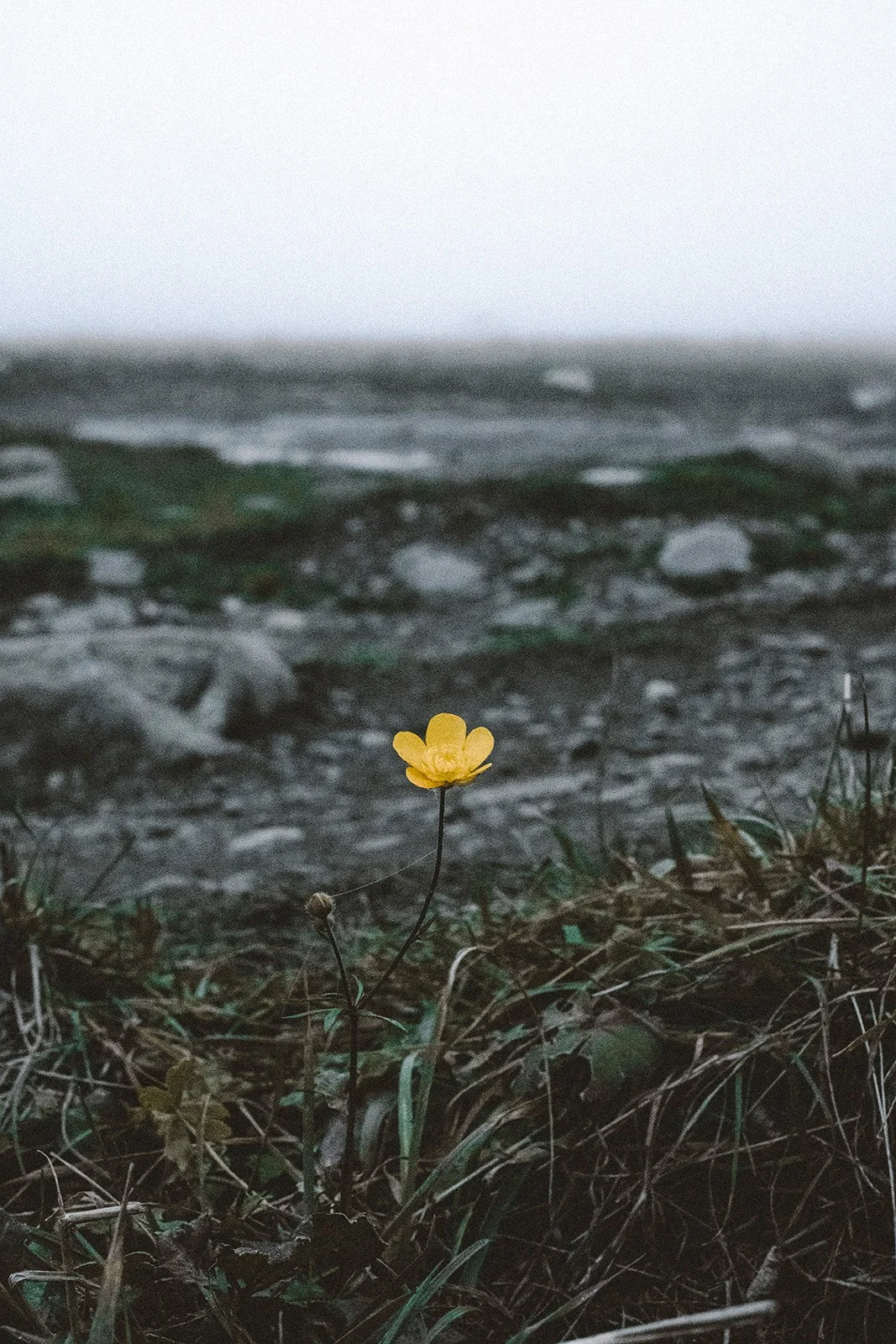 North Ossetia — altitude, silence and the rare strength of space
