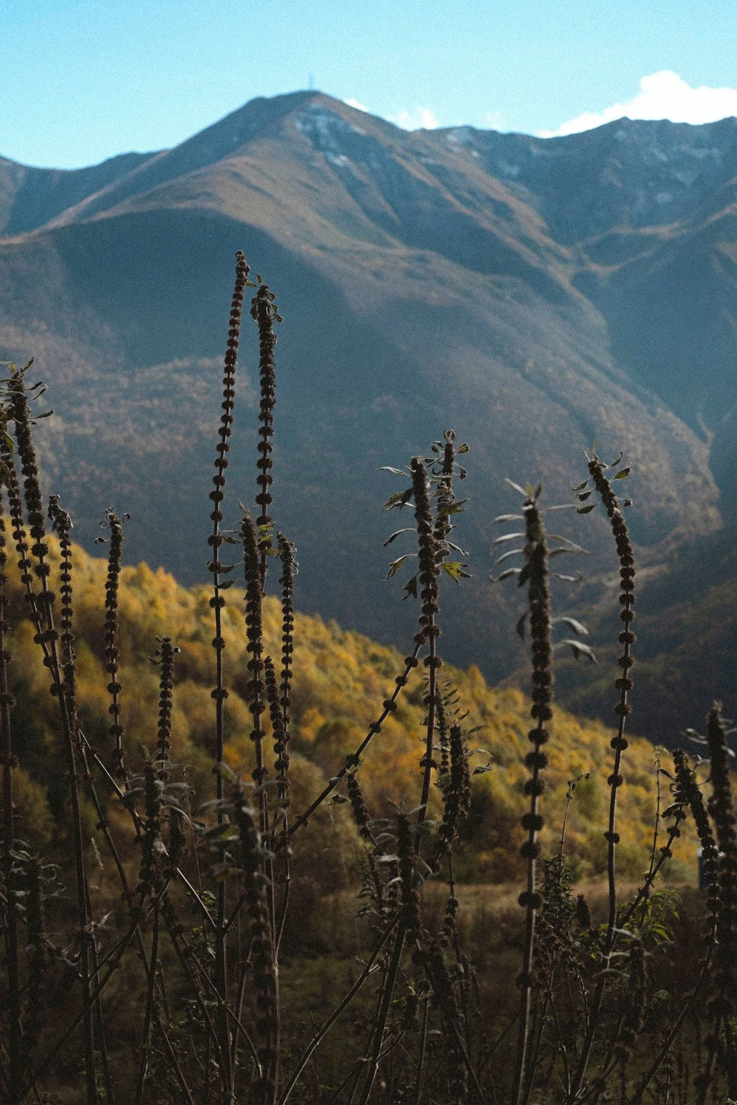 North Ossetia — altitude, silence and the rare strength of space