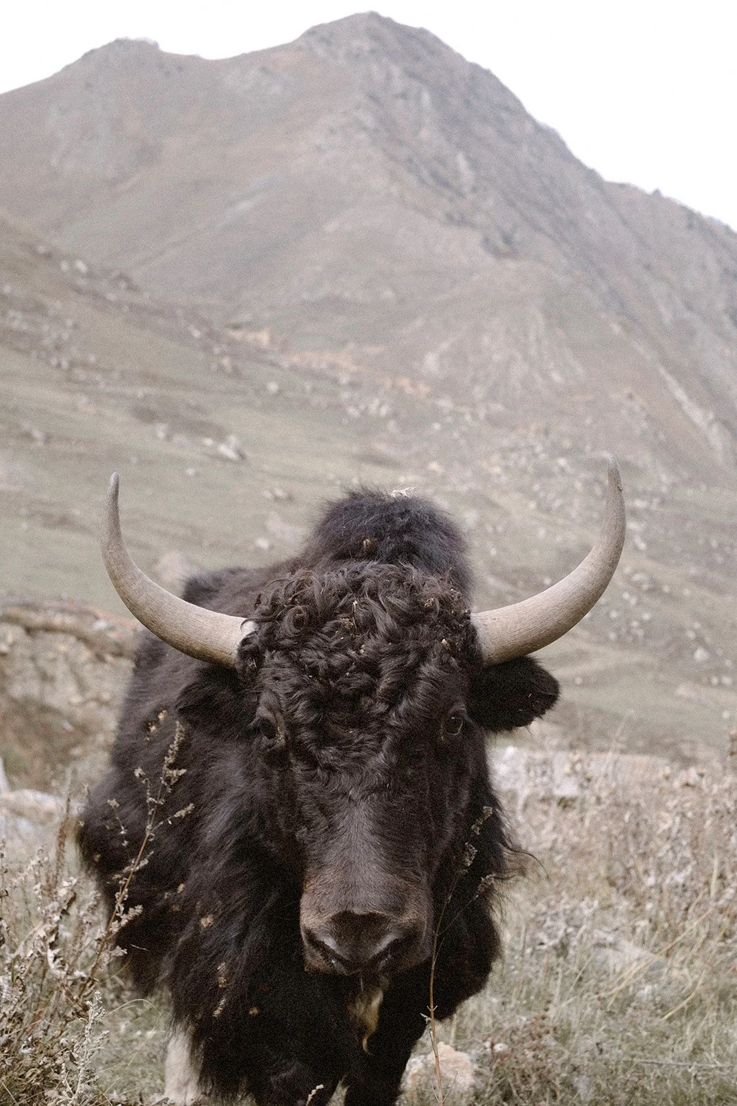 North Ossetia — altitude, silence and the rare strength of space