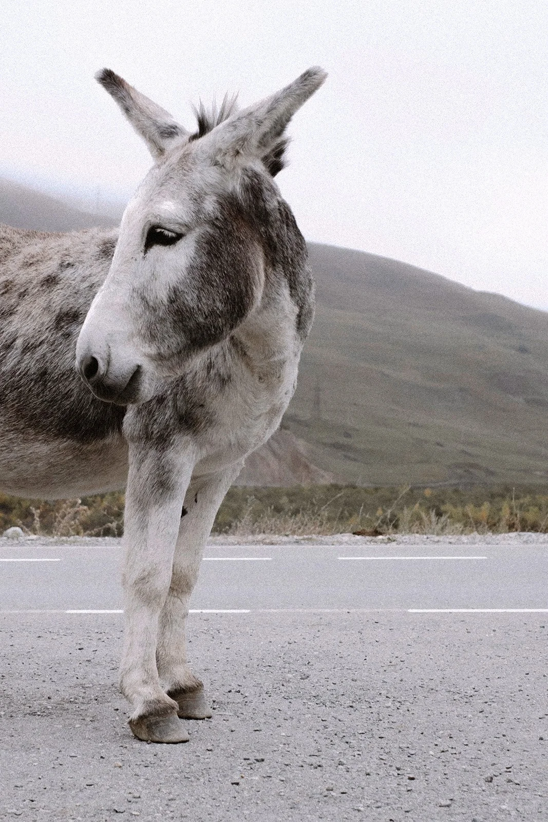 North Ossetia — altitude, silence and the rare strength of space