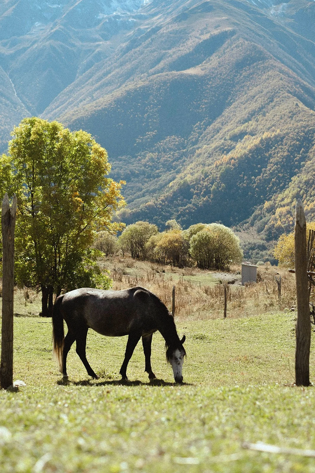 North Ossetia — altitude, silence and the rare strength of space