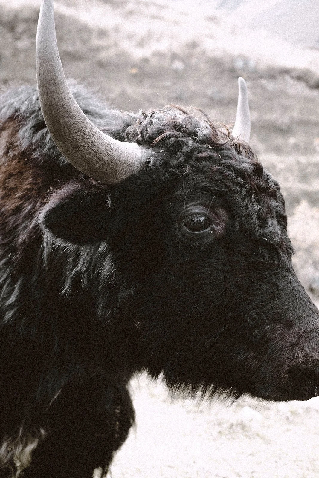 North Ossetia — altitude, silence and the rare strength of space